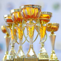 Победитель и призёр первенств области